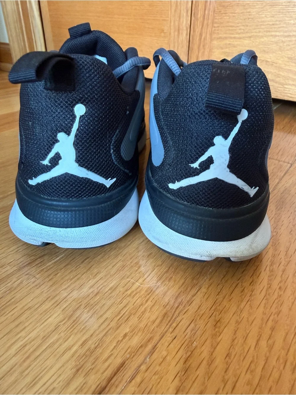 Jordan Impact TR shoes